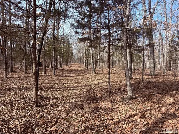 0 Maries County 447 RD, St James, MO 65559