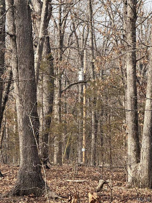 0 Maries County 447 RD, St James, MO 65559