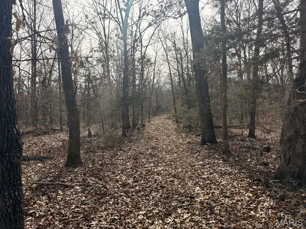0 Maries County 447 RD, St James, MO 65559
