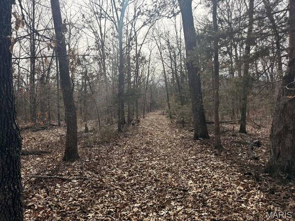 0 Maries County 447 RD, St James, MO 65559