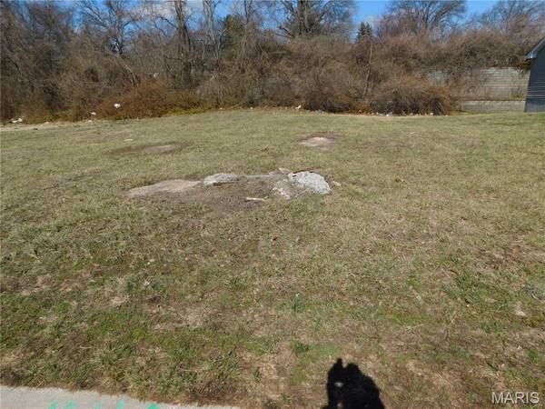 3145 Somerset Green CT, St Louis, MO 63136