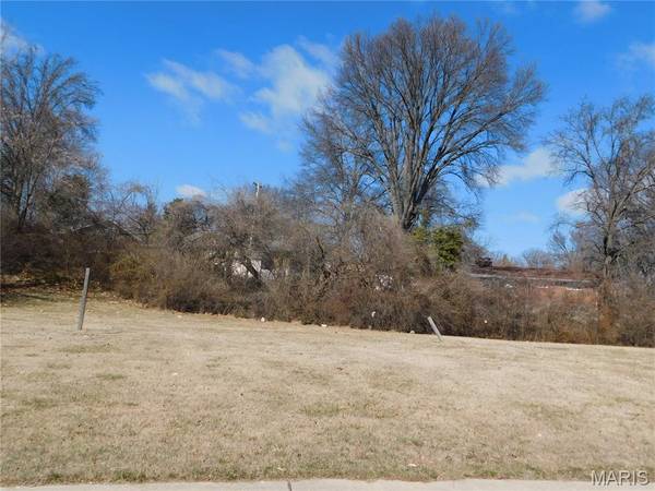 3147 Somerset Green CT, St Louis, MO 63136