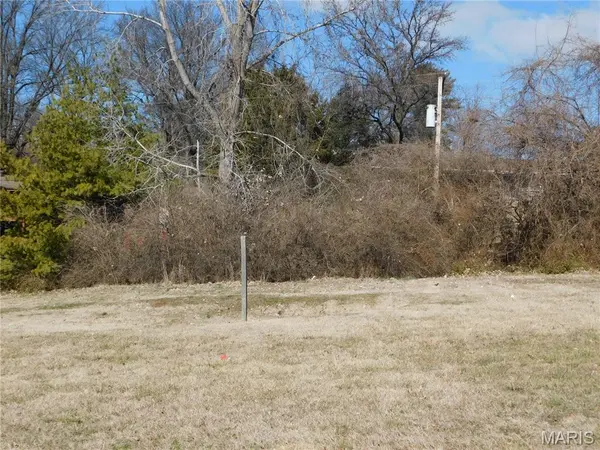 3169 Somerset Green CT, St Louis, MO 63136