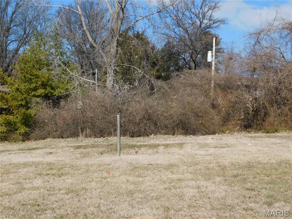 3169 Somerset Green CT, St Louis, MO 63136