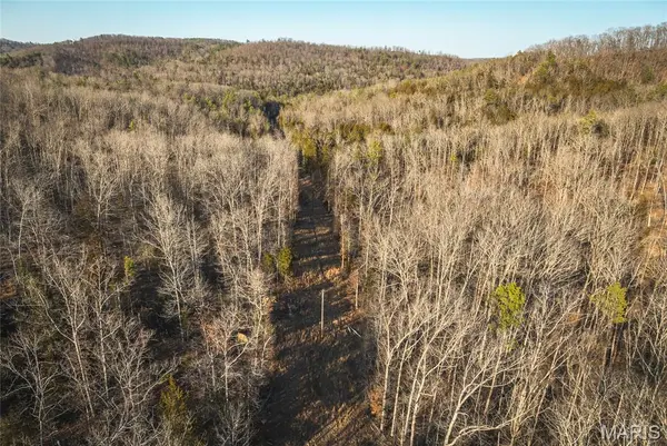000 County Road 19-208 Tract 4, Eminence, MO 65446