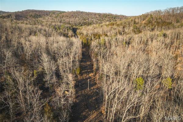 000 County Road 19-208 Tract 4, Eminence, MO 65446