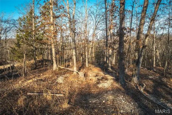 000 County Road 19-208 Tract 1, Eminence, MO 65546
