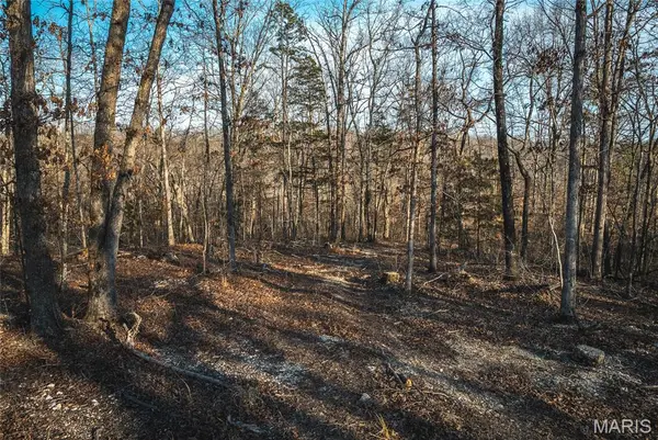 000 County Road 19-208 Tract 1, Eminence, MO 65546