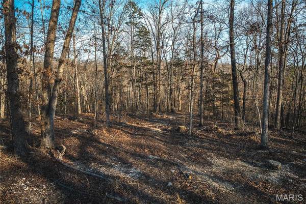000 County Road 19-208 Tract 1, Eminence, MO 65546