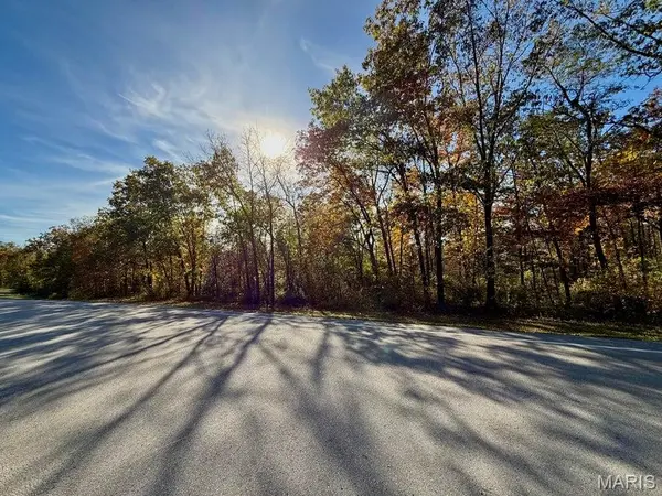 000 Lilly Ave., Houston, MO 65483