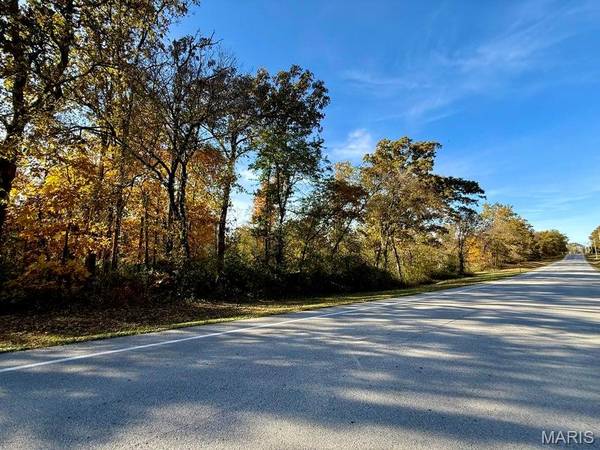 000 Lilly Ave., Houston, MO 65483