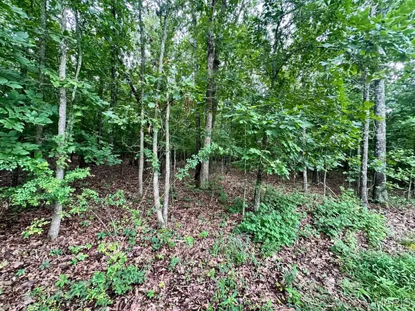 000 Co Rd 4180 Lot 1, Salem, MO 65560
