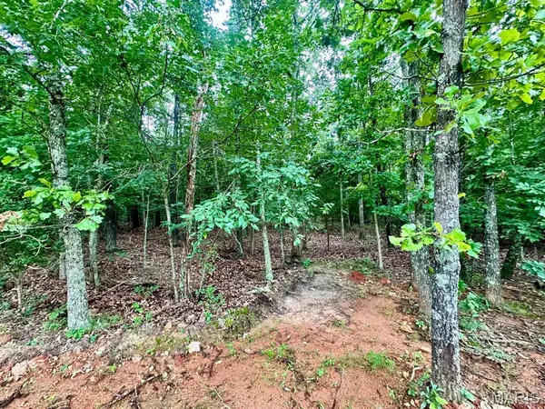 000 Co Rd 4180 Lot 10, Salem, MO 65560