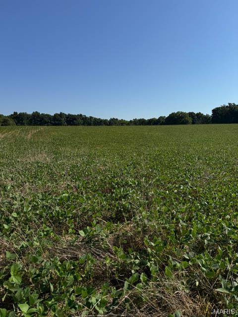 RR E 2300 AVE N, Brownstown, IL 62418