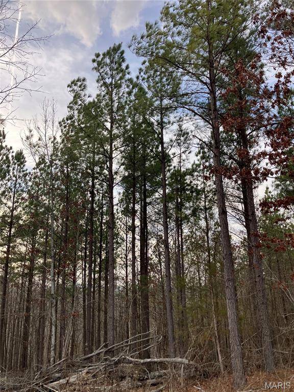 205 Madison CR 410, Fredericktown, MO 63645