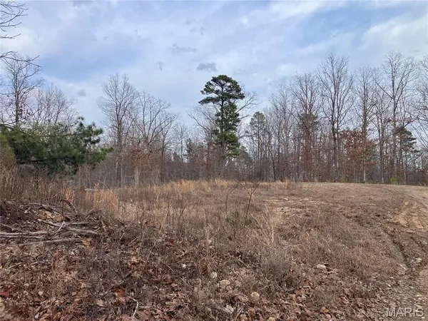 208 Madison CR 410, Fredericktown, MO 63645