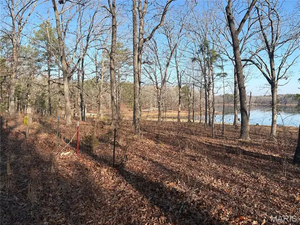 748 Miller Lake RD, Van Buren, MO 63965