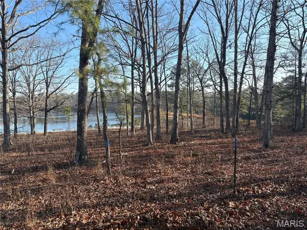 748 Miller Lake RD, Van Buren, MO 63965
