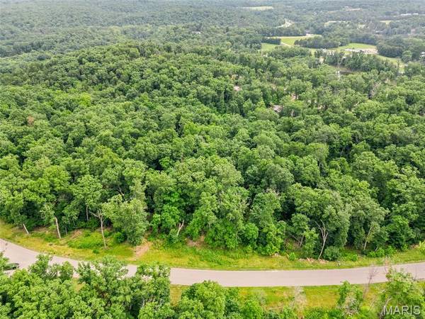 2835 Tyrolean Way DR, Innsbrook, MO 63390