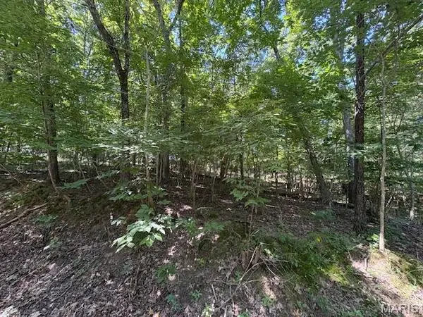 0000 Greenwood Dr Sec15 Lot 22 Raintree Plantation, Hillsboro, MO 63050