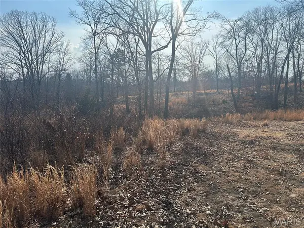 000 E Highway 32, Salem, MO 65440
