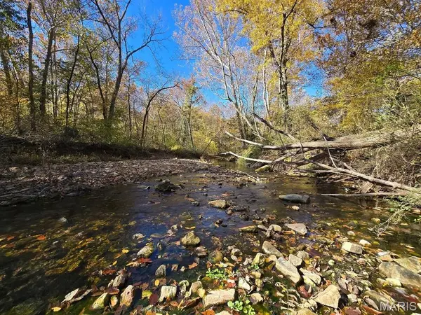 000 Mineral Drive Lot 1, Houston, MO 65483