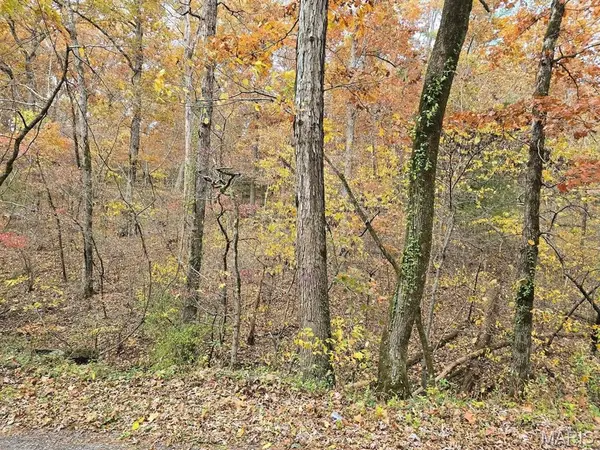 000 Mineral Drive Lot 1, Houston, MO 65483