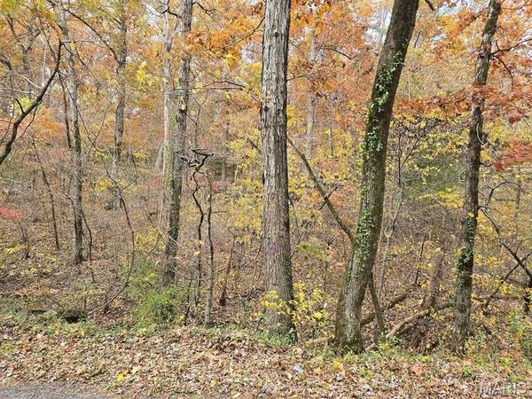 000 Mineral Drive Lot 1, Houston, MO 65483