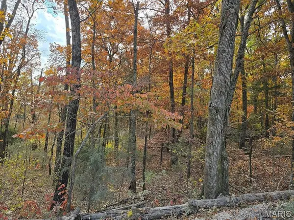 000 Mineral Drive Lot 2, Houston, MO 65483