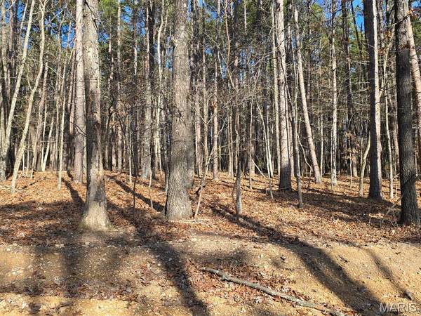 000 Mineral Drive Lot 3, Houston, MO 65483