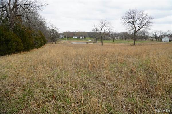 18143 Oasis DR, Phillipsburg, MO 65722