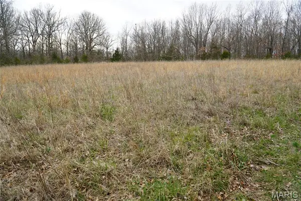 18143 Oasis DR, Phillipsburg, MO 65722