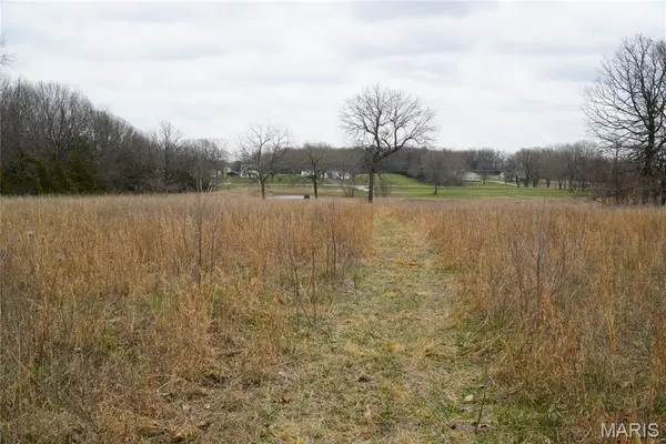 18143 Oasis DR, Phillipsburg, MO 65722