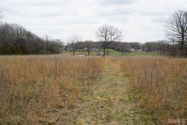 18143 Oasis DR, Phillipsburg, MO 65722