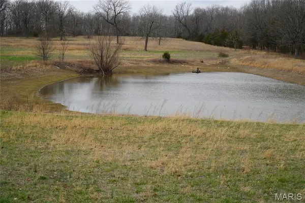 18143 Oasis DR, Phillipsburg, MO 65722