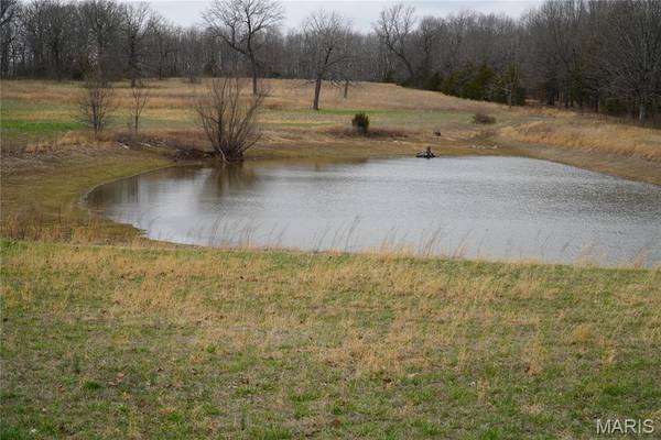 18143 Oasis DR, Phillipsburg, MO 65722
