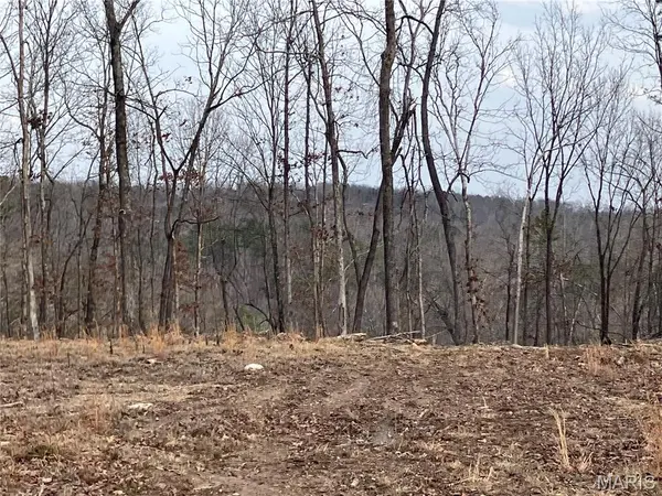 210 Madison CR 410, Fredericktown, MO 63645