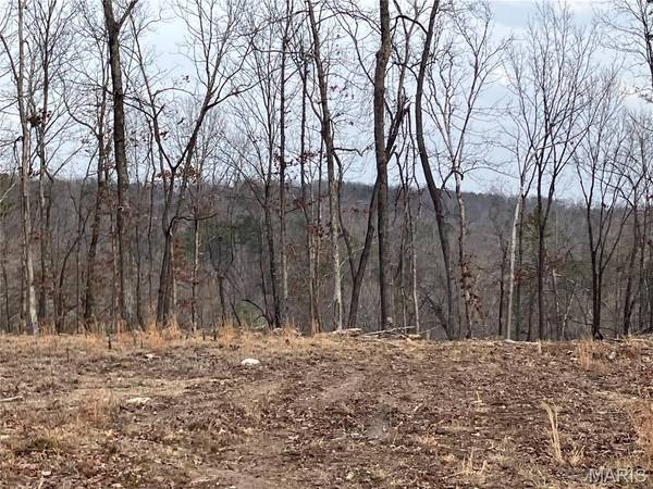 210 Madison CR 410, Fredericktown, MO 63645