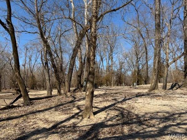Lot 39 Current River RV Park, Van Buren, MO 63965