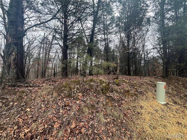 1398 Heather DR, Marthasville, MO 63357