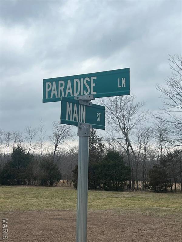 Lot 17,18,19 Paradise Lane, Poplar Bluff, MO 63901