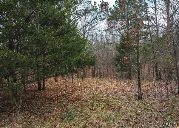 11.09 acres Broken Arrow TRL, Raymondville, MO 65555