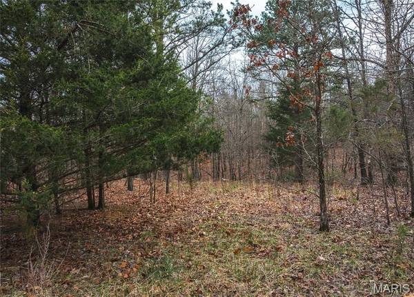 11.09 acres Broken Arrow TRL, Raymondville, MO 65555