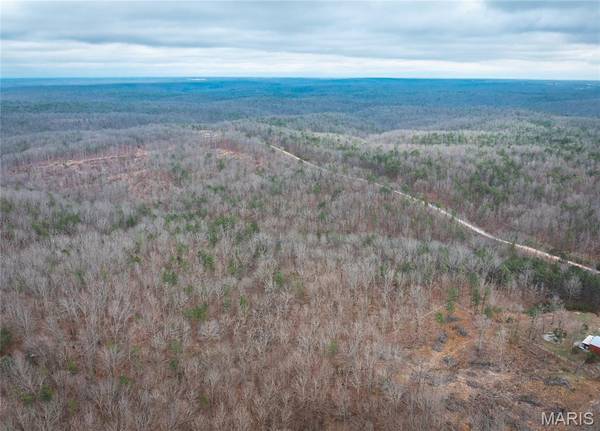 16.01 acres Pine Meadow TRL, Raymondville, MO 65555