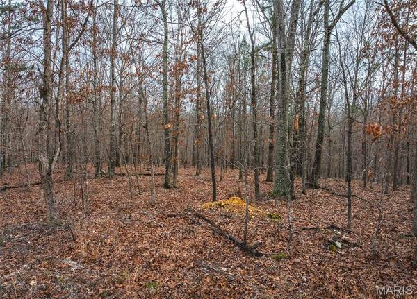 16.01 acres Pine Meadow TRL, Raymondville, MO 65555