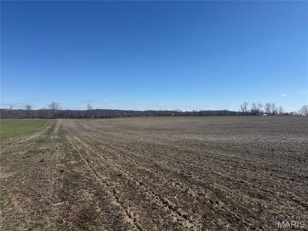 000 State Route 156, Valmeyer, IL 62295