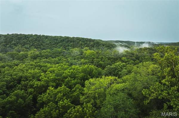 0 County Road 7250 Tract 2, Newburg, MO 65550