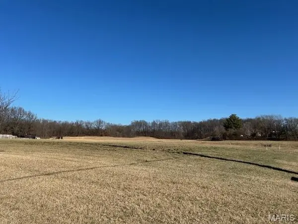 0 County Road 317, Cape Girardeau, MO 63701