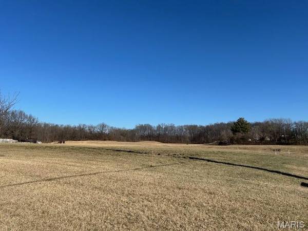 0 County Road 317, Cape Girardeau, MO 63701