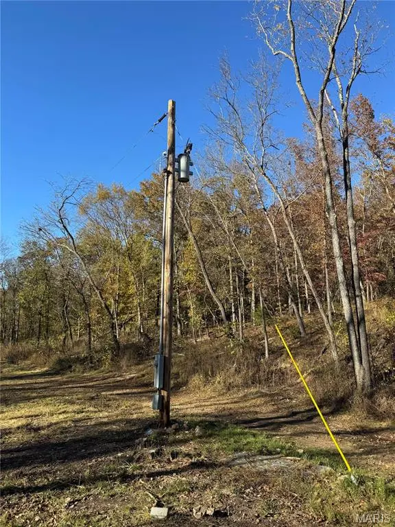 000 Hank Lane, Dixon, MO 65459